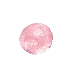 Benecos Natural Lipgloss rosé